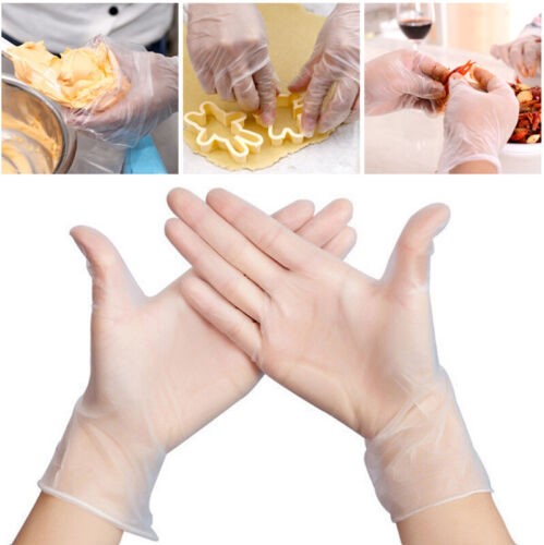 Deli Fit Gloves - Clear PF - Size Large - Pack of 100
